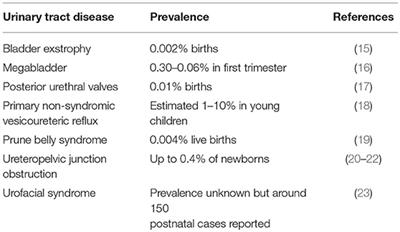 Congenital Disorders of the Human Urinary Tract: Recent Insights From Genetic and Molecular Studies